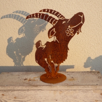 Ein lustiger Steinbock